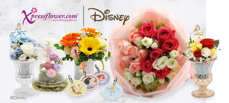 Disney promotion nov