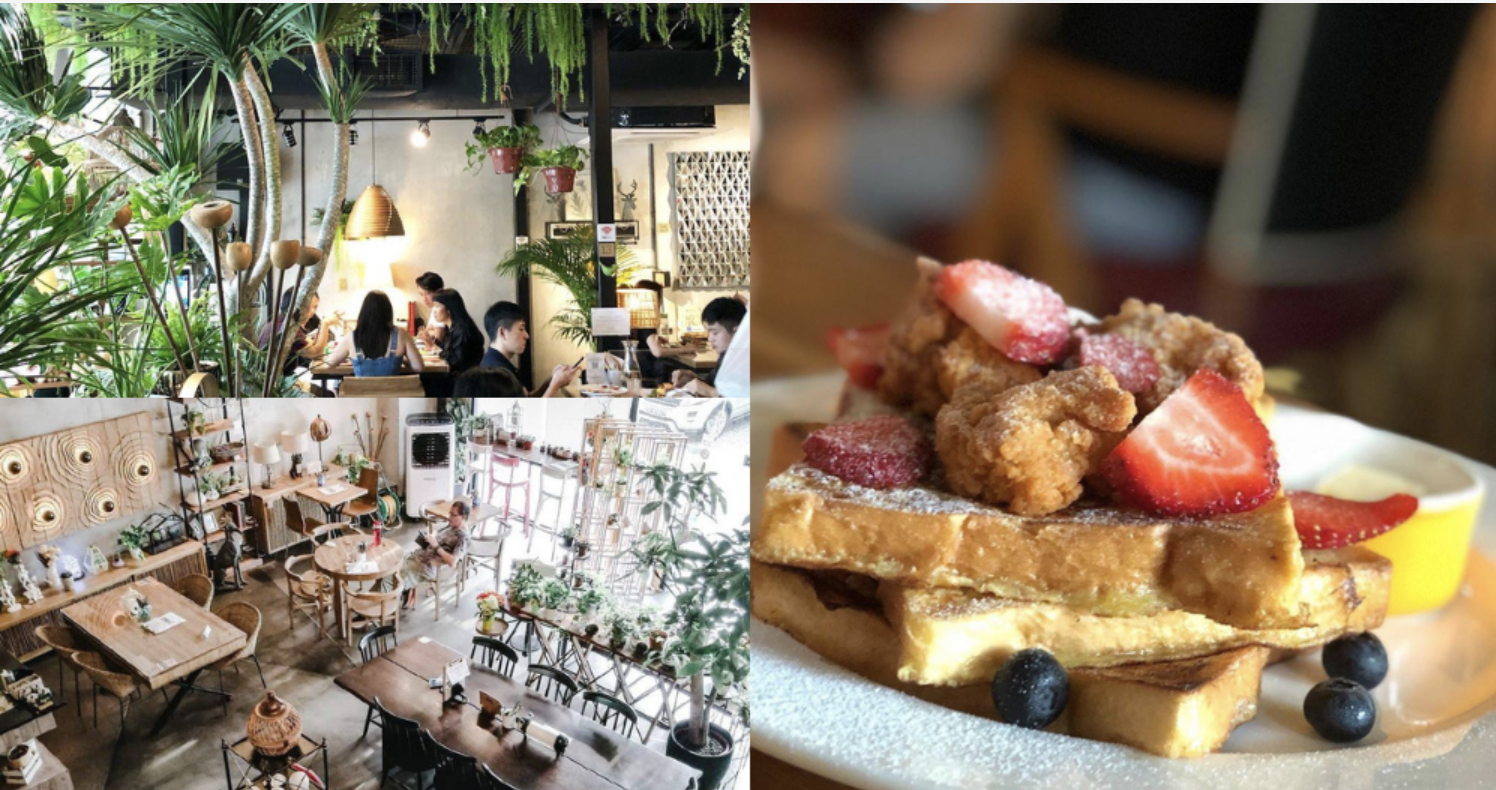 Mothership Knots Cafe