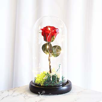Beauty Inside (Preserved Rose with LED Lights)