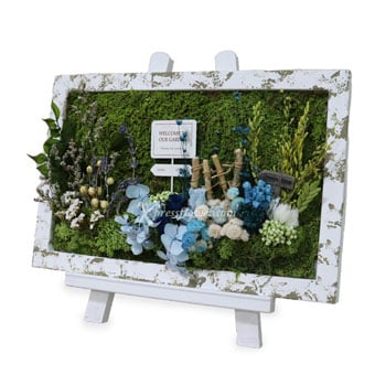 Garden of Dreams (Moss art with preserved flowers)