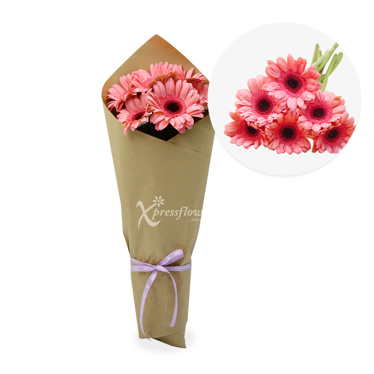 6 Loose Stalks Gerbera