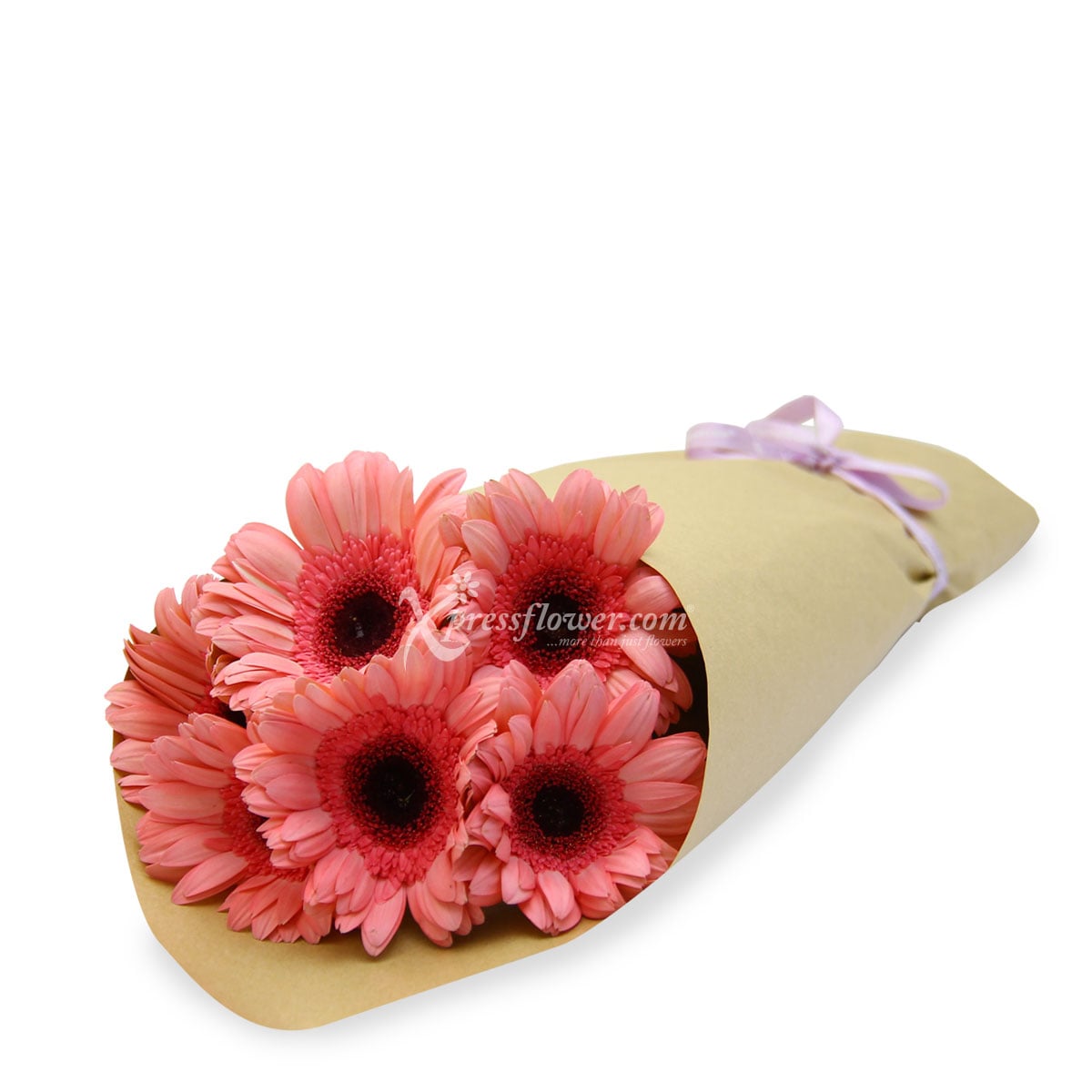 LS2001G 6 Loose Stalks Gerbera