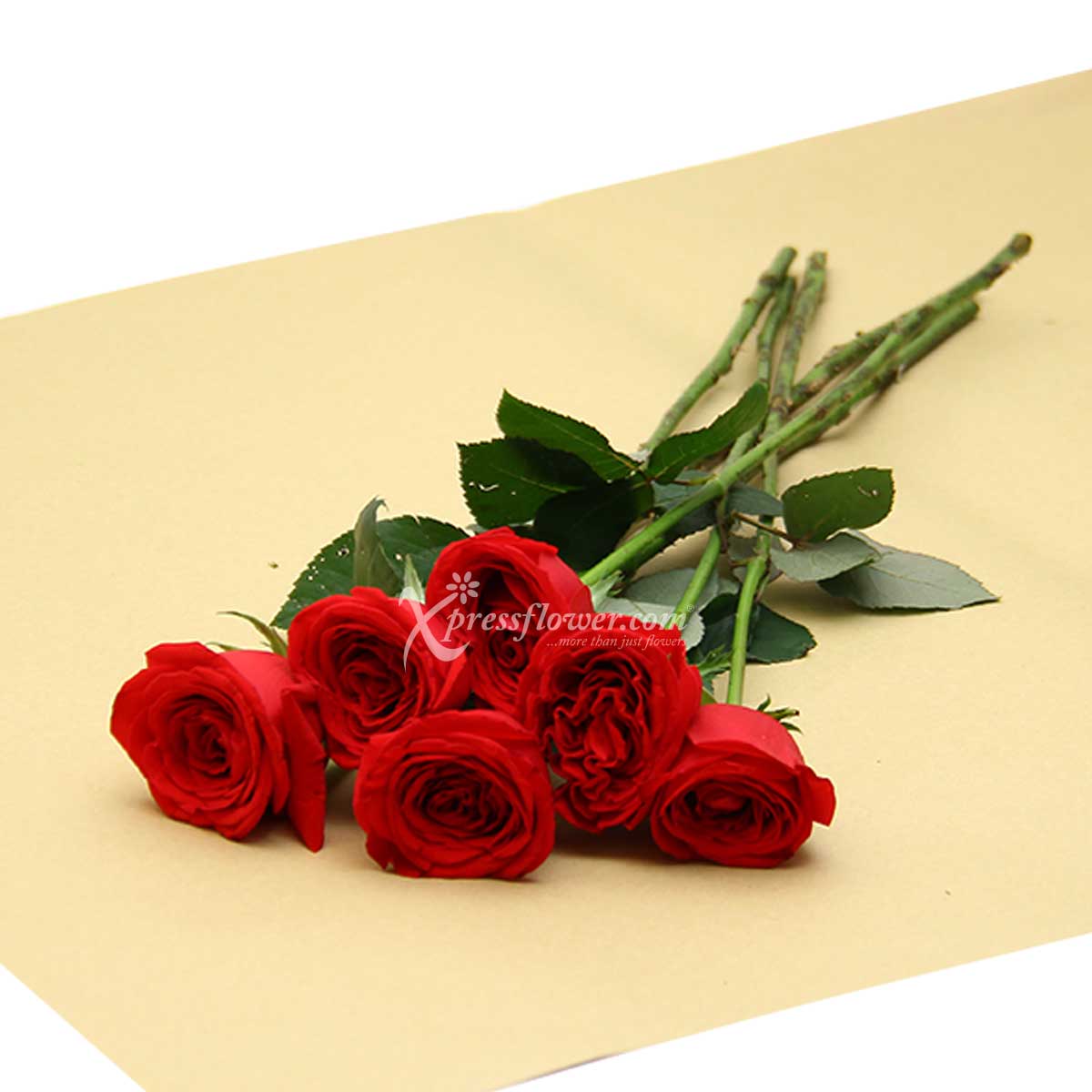 LS2001R 6 Loose Stalks Roses