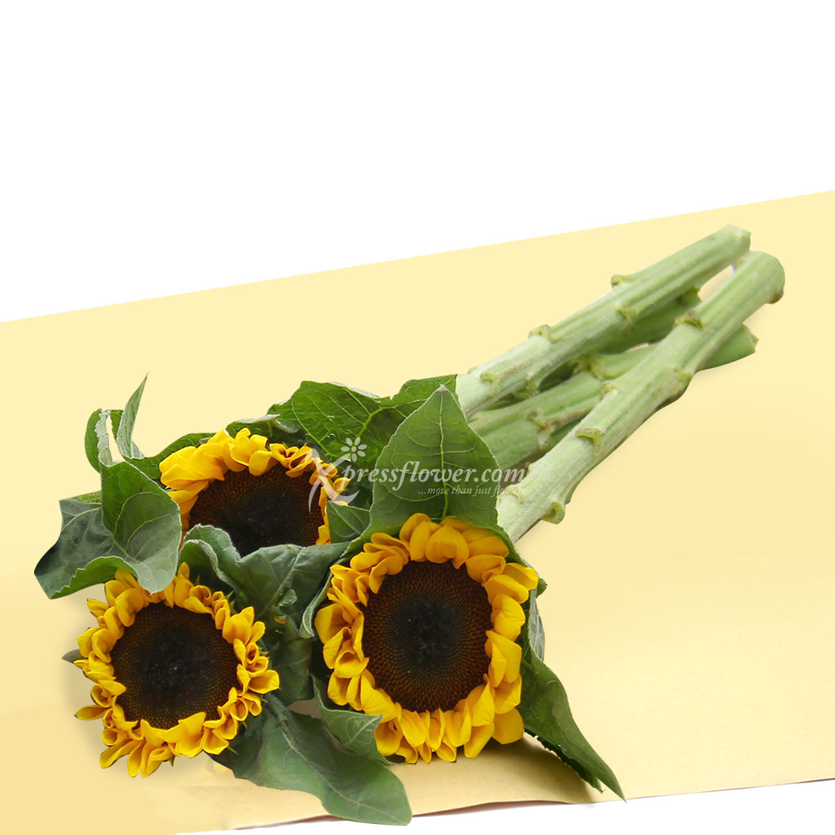 LS2001S 3 Loose Stalks Sunflower