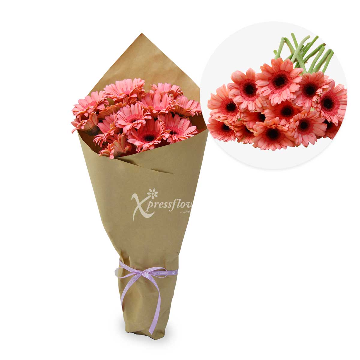 12 Loose Stalks Gerbera