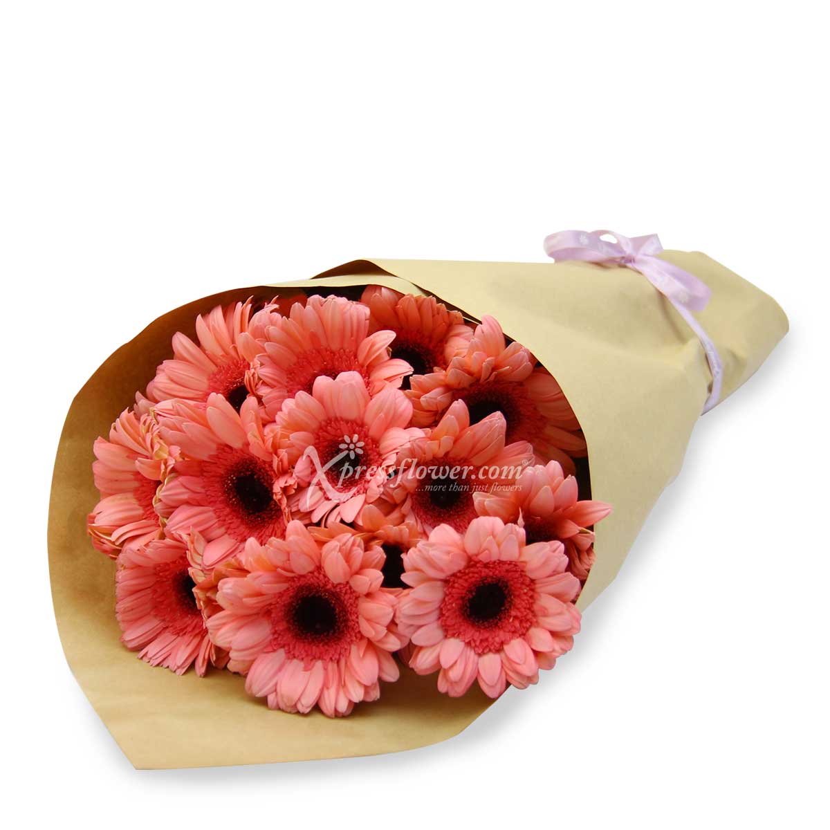 LS2002G 12 Loose Stalks Gerbera