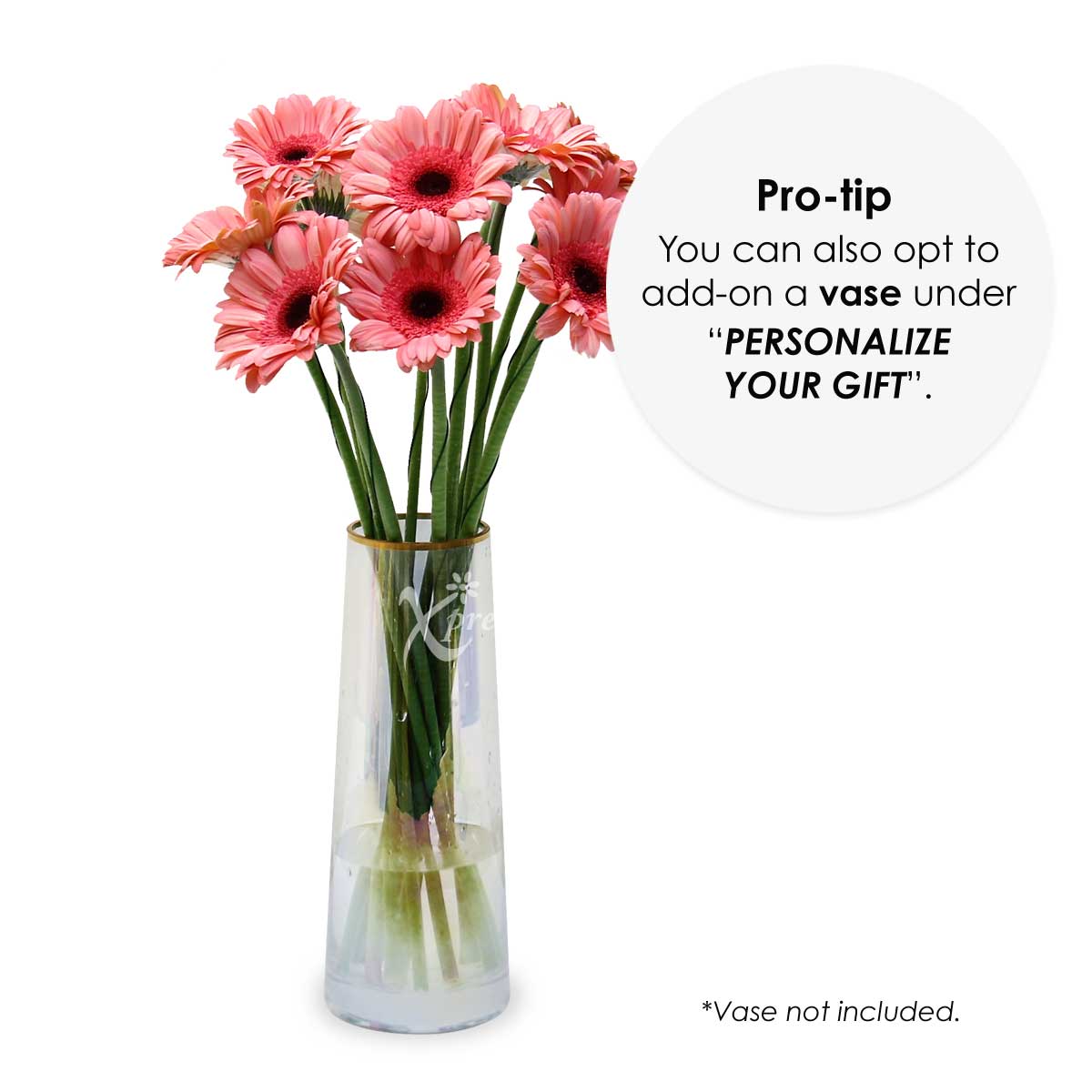 LS2002G 12 Loose Stalks Gerbera