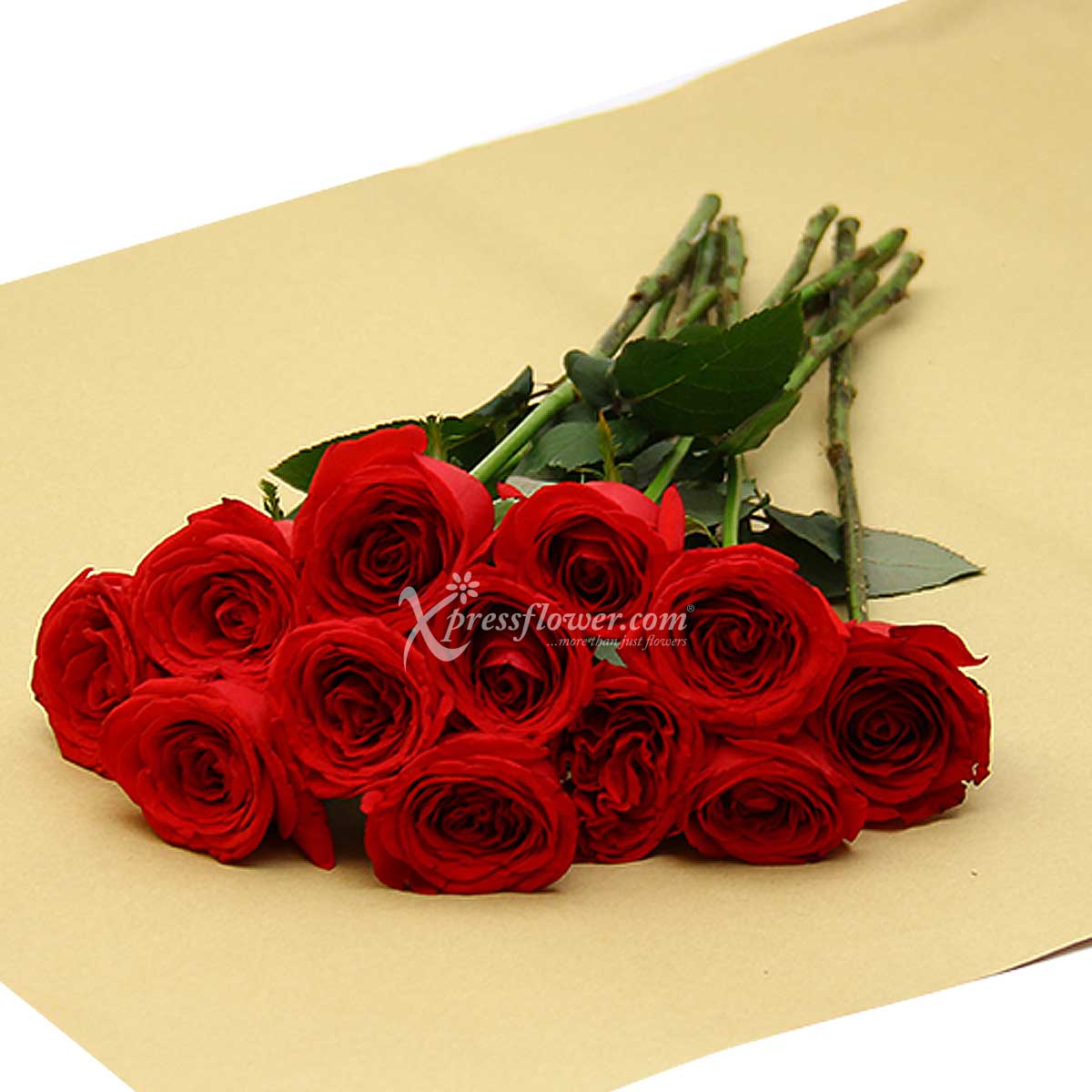 LS2002R 12 Loose Stalks Roses