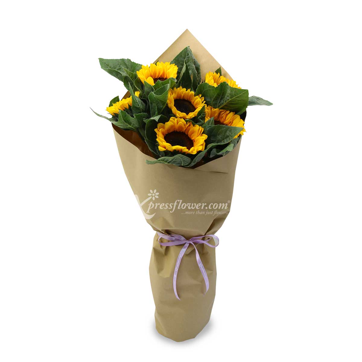 6 Loose Stalks Sunflower