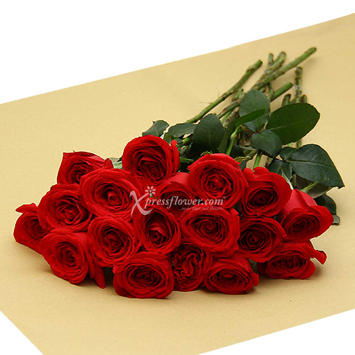 LS2003R 18 Loose Stalks Roses