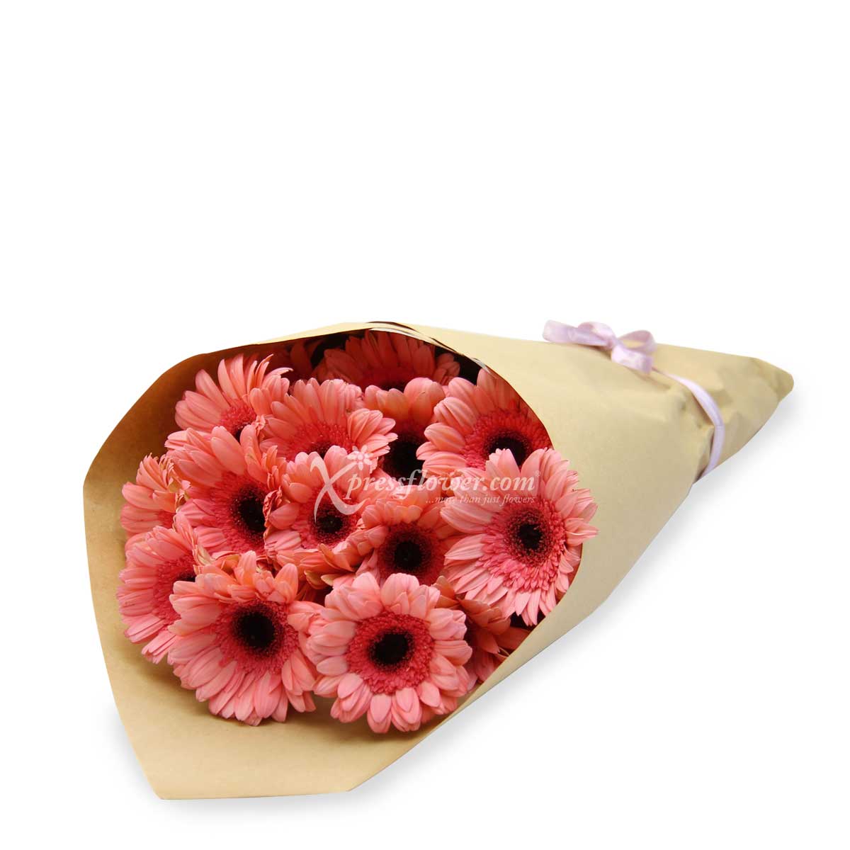 LS2004G 24 Loose Stalks Gerbera