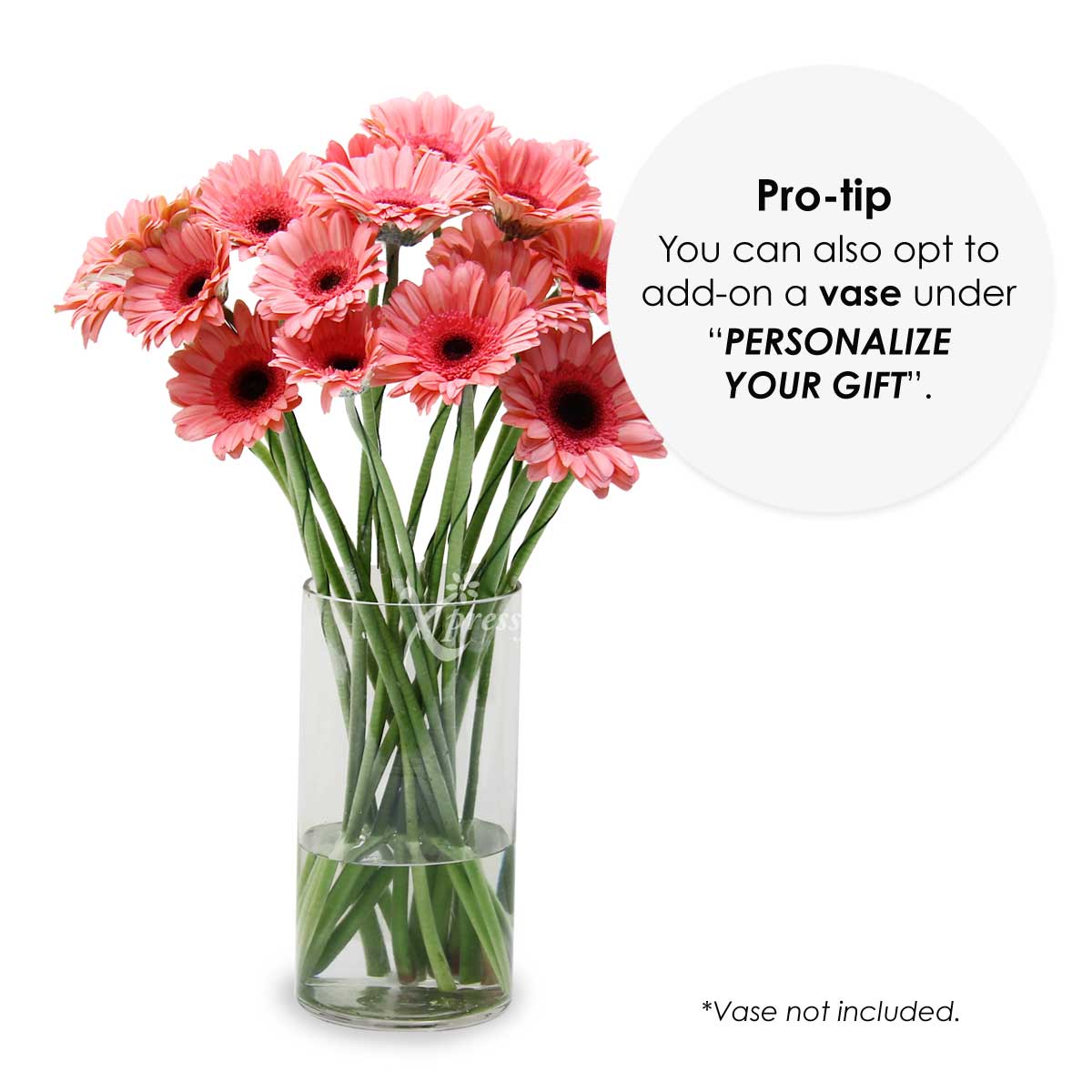 LS2004G 24 Loose Stalks Gerbera