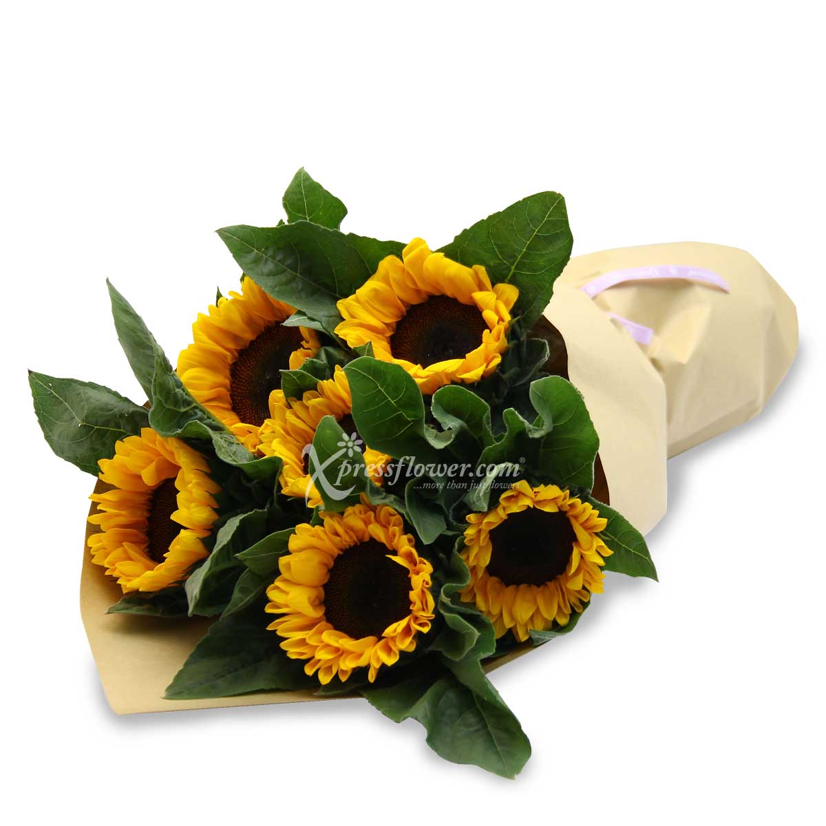 LSS2082 6 Loose Stalks Sunflower