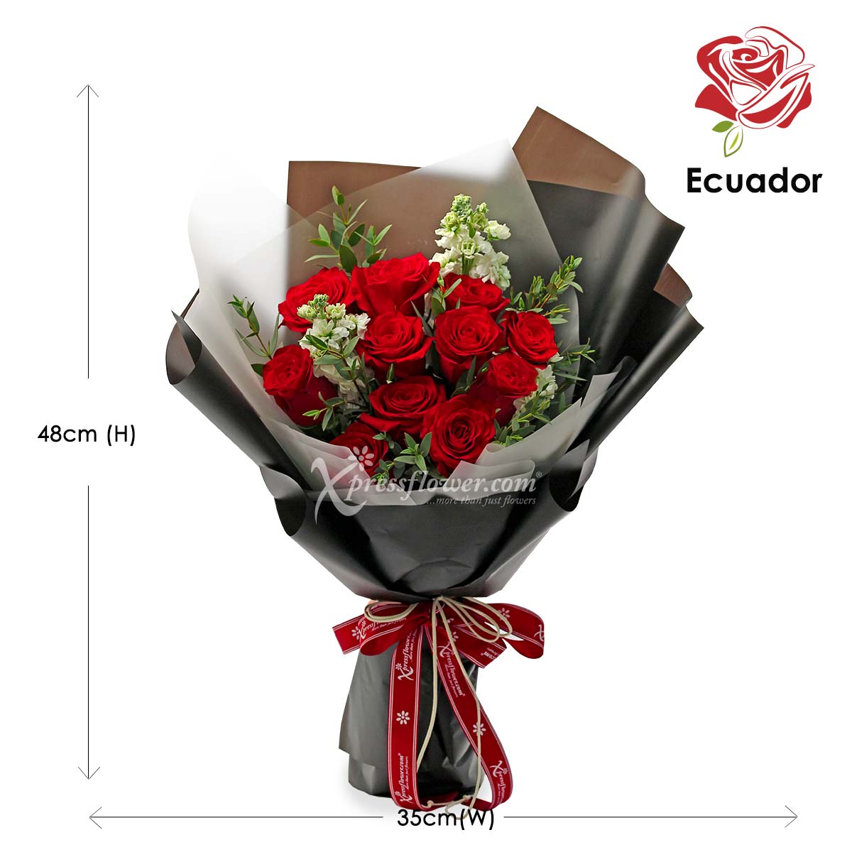 PMB2002 Black Pearl Premium Ecuadorian Roses