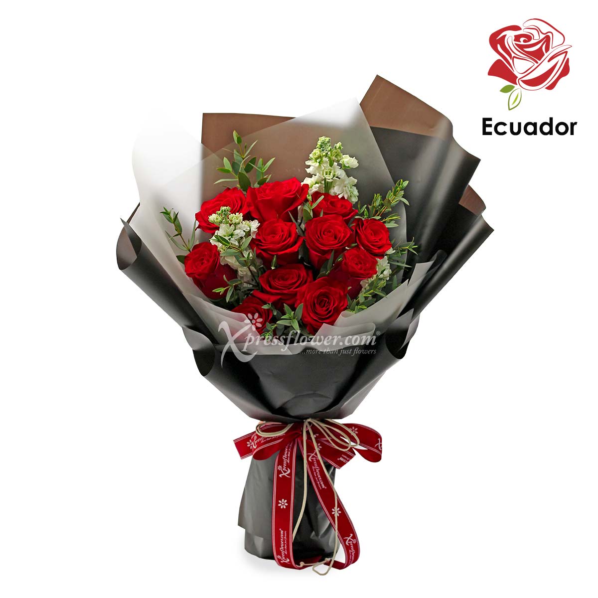Black Pearl (12 Premium Ecuador Red Roses)