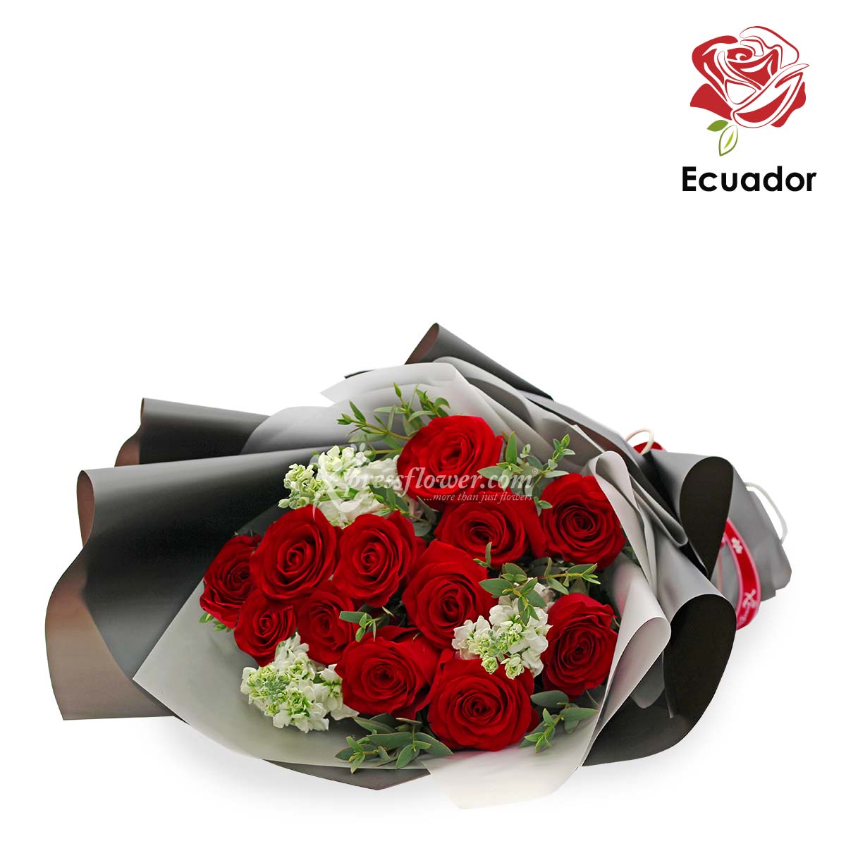 PMB2002 Black Pearl Premium Ecuadorian Roses