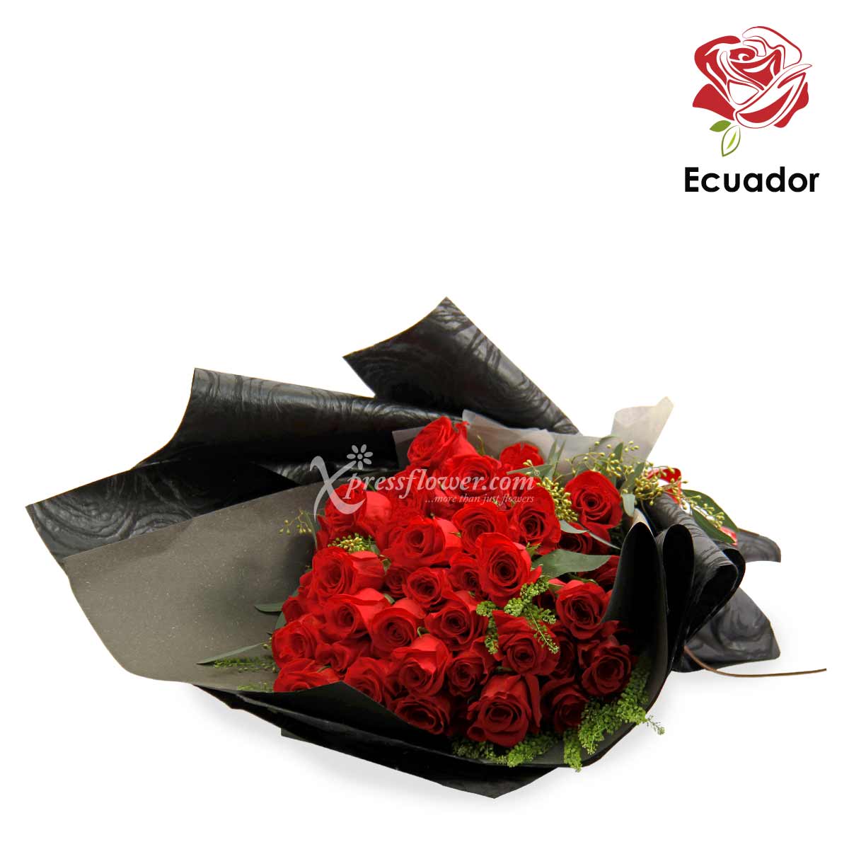PMB2005 Black Opal Premium Ecuadorian Roses