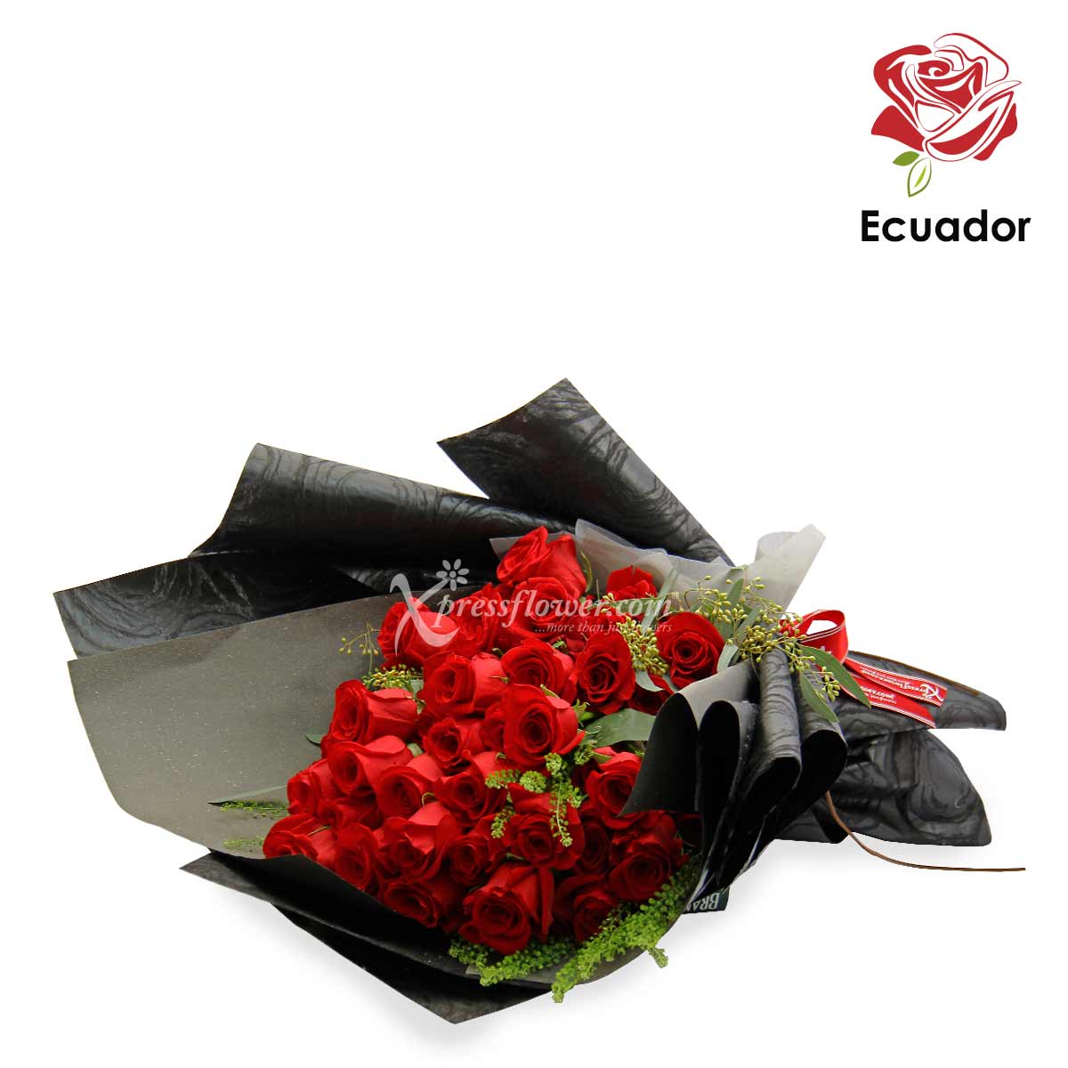 PMB2005 Black Opal Premium Ecuadorian Roses