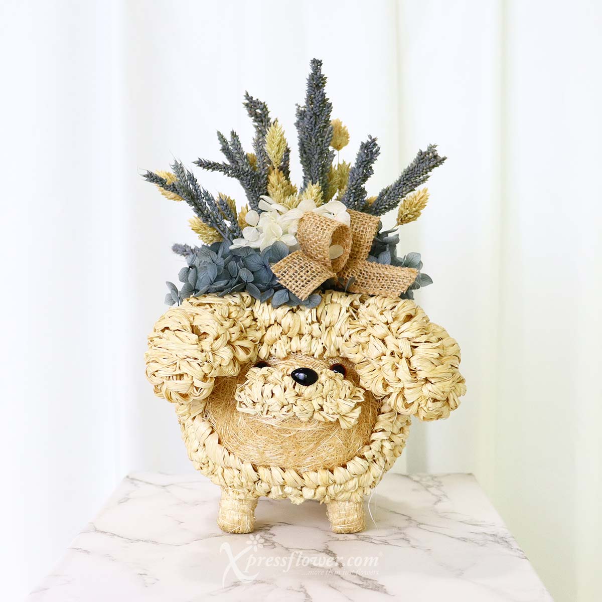 Poodle Plantopia (Preserved Flowers)