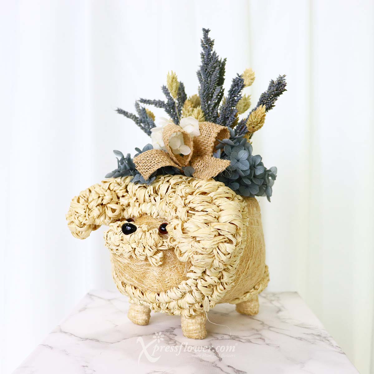 AR2238 Poodle Plantopia Preserved Flowers 1b