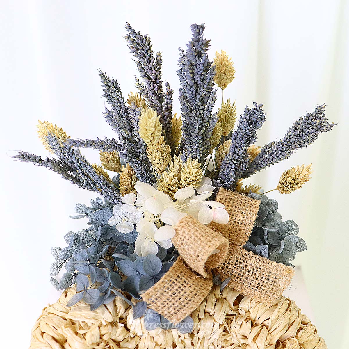  AR2238 Poodle Plantopia Preserved Flowers 1c