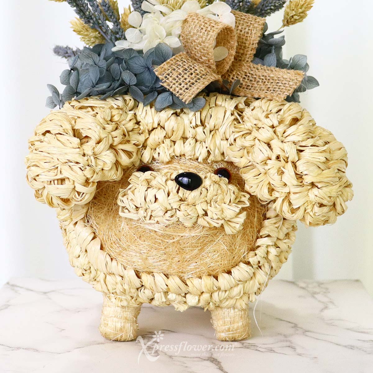  AR2238 Poodle Plantopia Preserved Flowers 1d