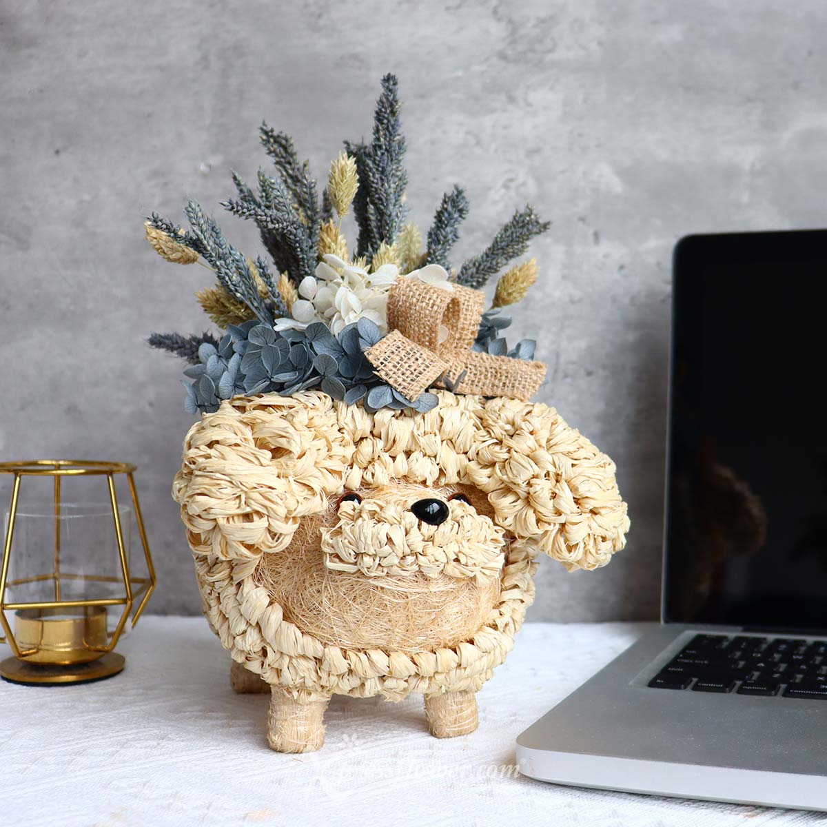  AR2238 Poodle Plantopia Preserved Flowers 3a