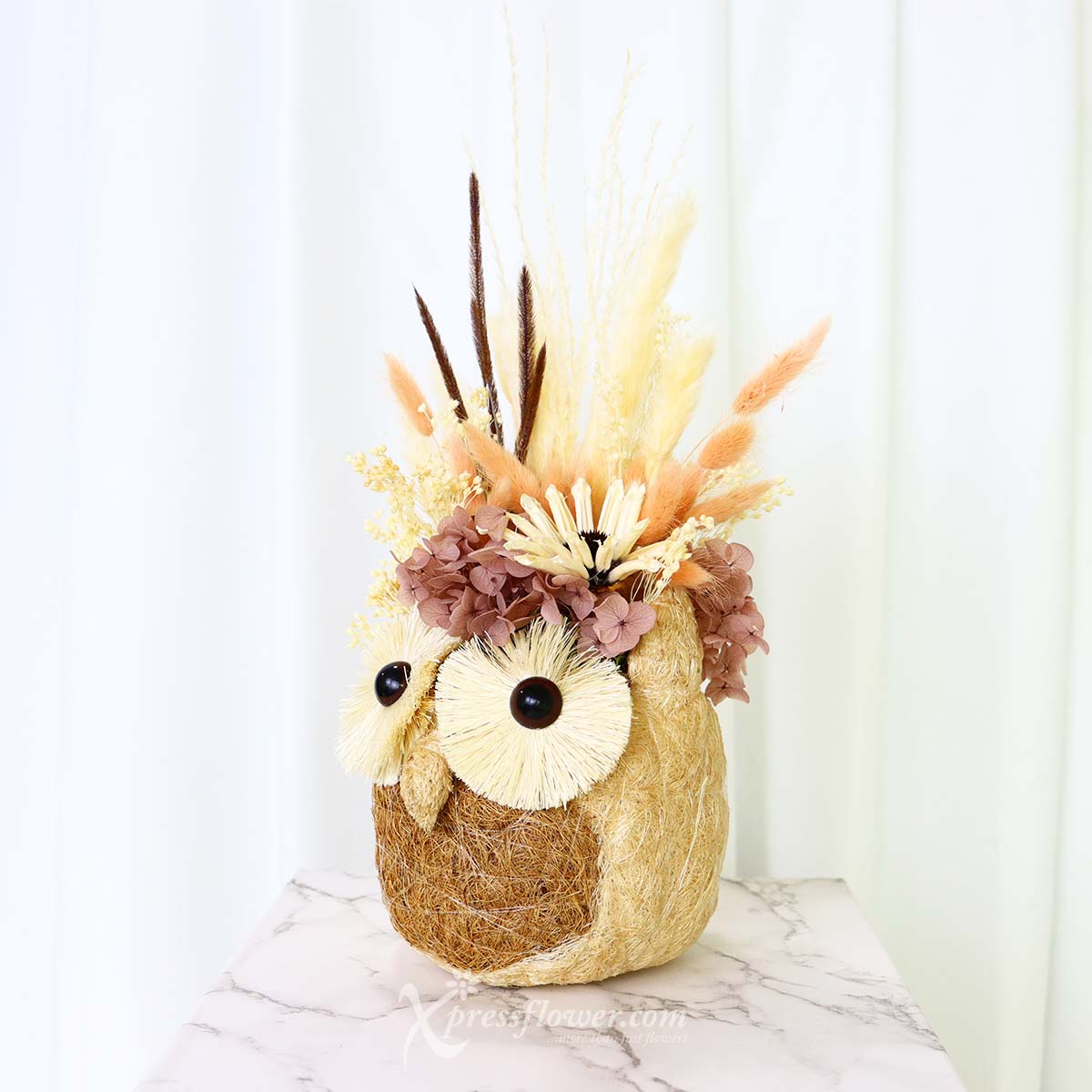 AR2243 Owl Overjoy Preserved Flowers 1b