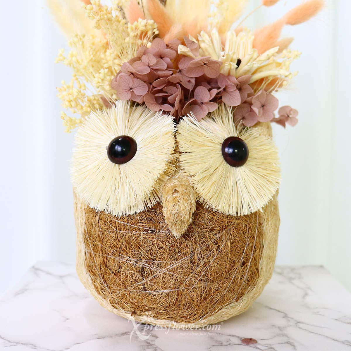 AR2243 Owl Overjoy Preserved Flowers 1d