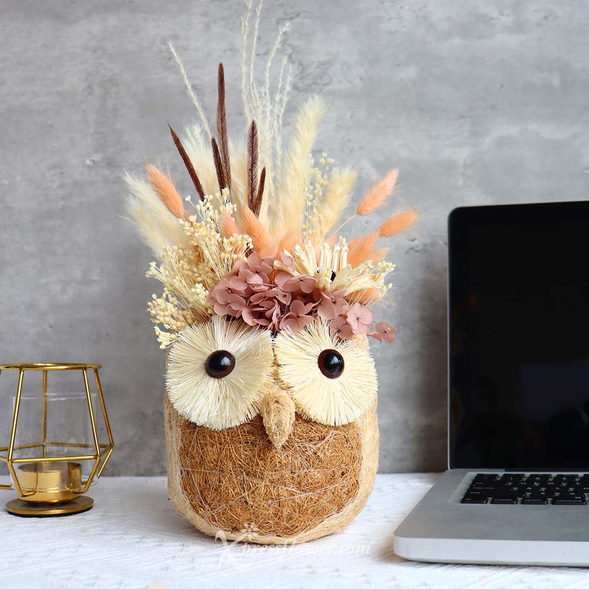 AR2243 Owl Overjoy Preserved Flowers 3a