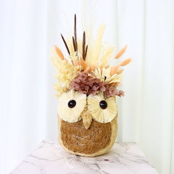 Owl Overjoy (Preserved Flowers)