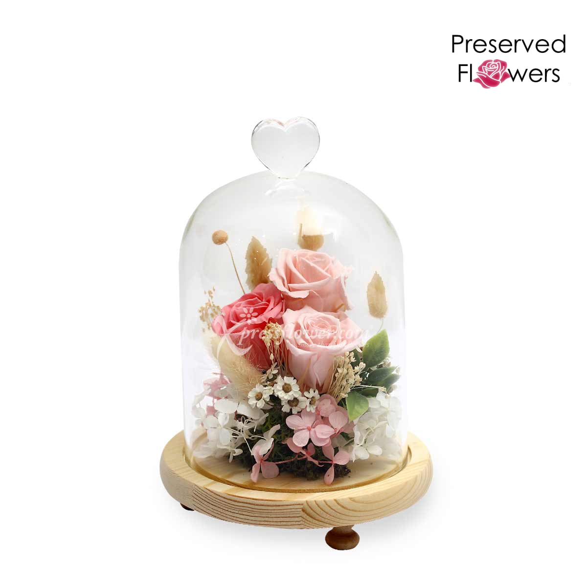 Fluttering Heartbeat (Preserved Flowers)