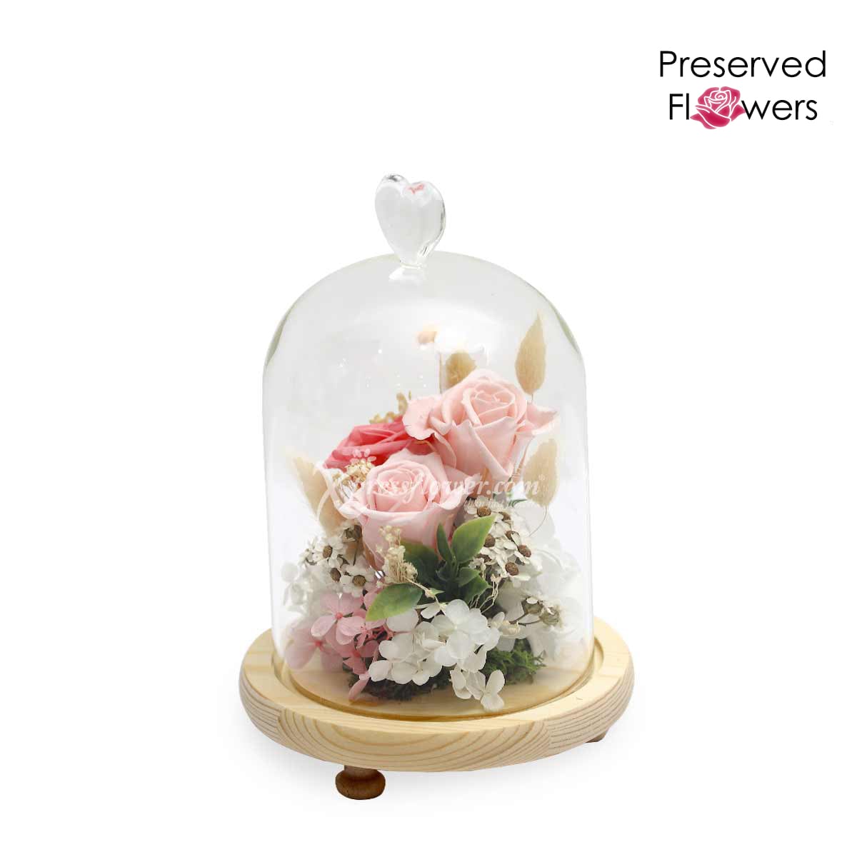PR2003 Fluttering Heartbeat Preserved Flowers