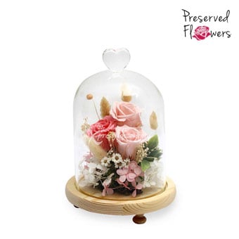 Fluttering Heartbeat (Preserved Flowers)