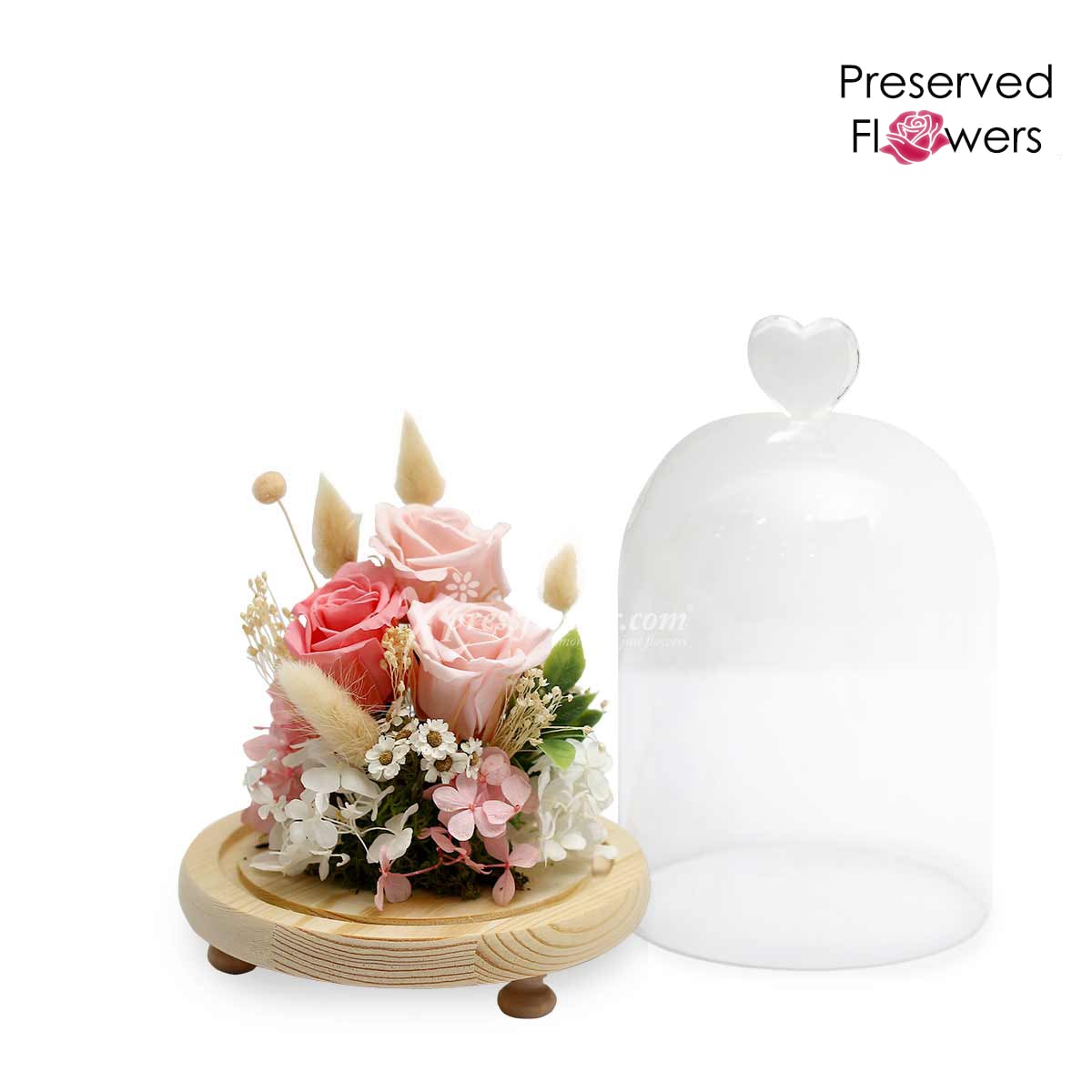 PR2003 Fluttering Heartbeat Preserved Flowers