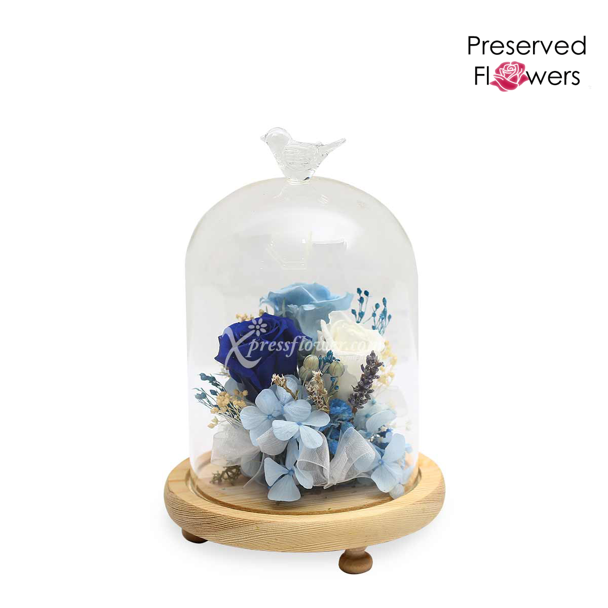 Frozen in Time (Preserved Flowers)