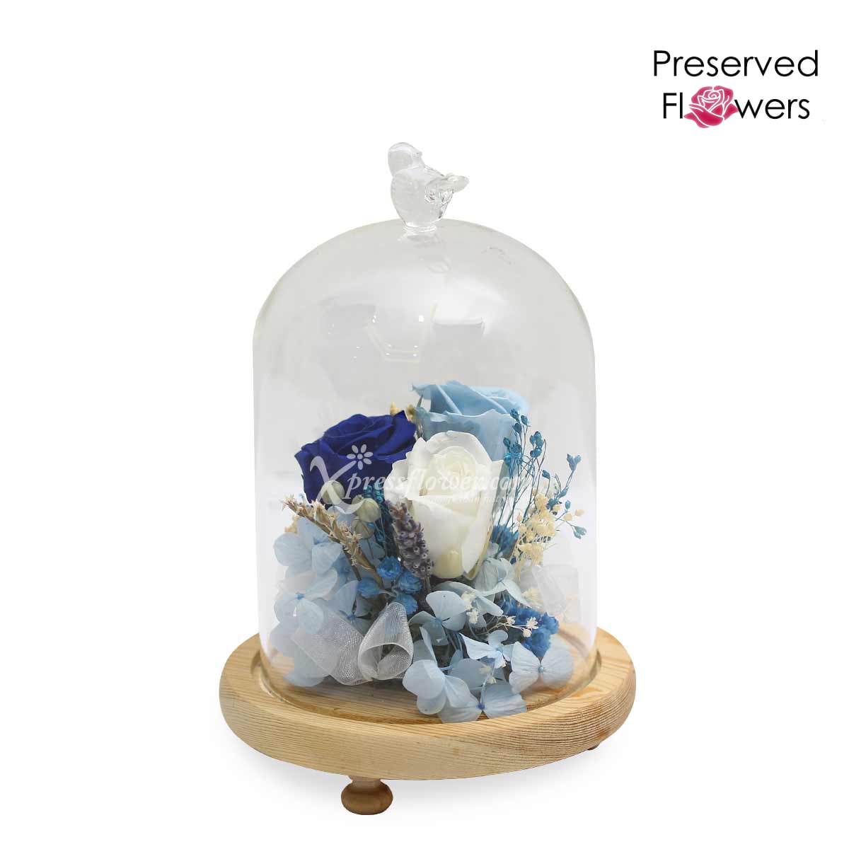 PR2004 Frozen in Time Preserved Flowers