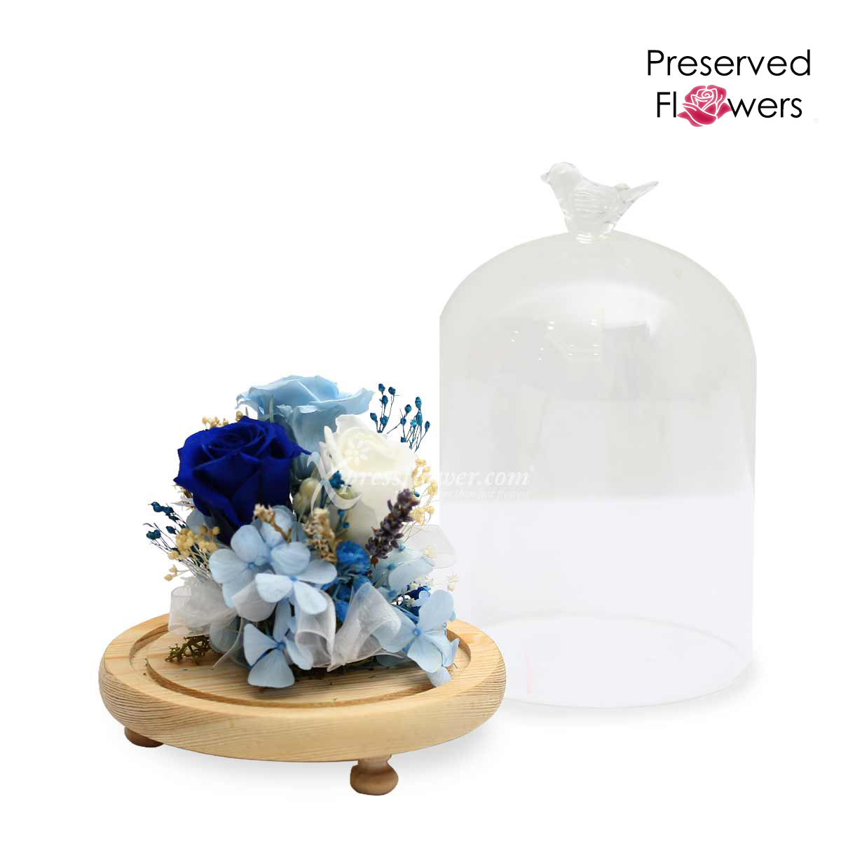 PR2004 Frozen in Time Preserved Flowers