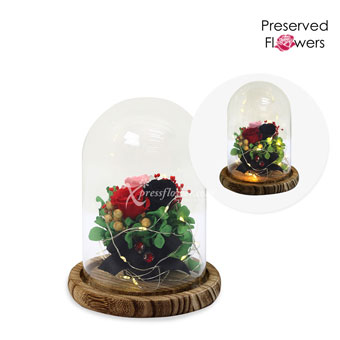 Forest Fairies (Preserved Flowers with LED lights)