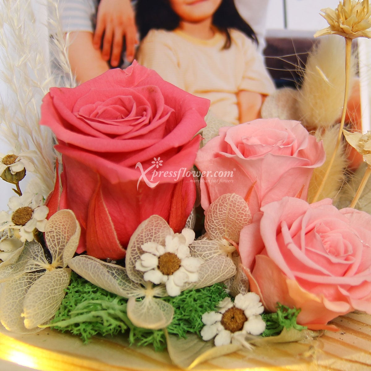 PR2123 Preserved Roses Photo Dome