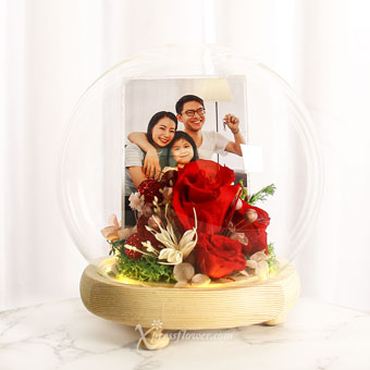 PR2134 You Are My World Preserved Flower LED Dome with Photo