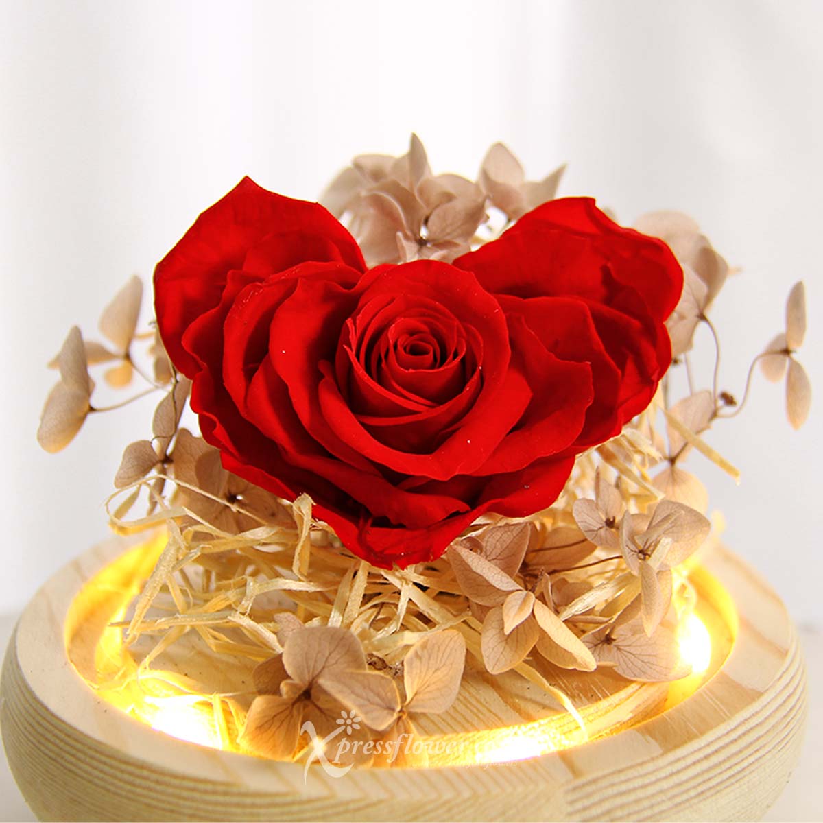 PR2136 Our Love Glows Preserved Rose Flower Dome 1c
