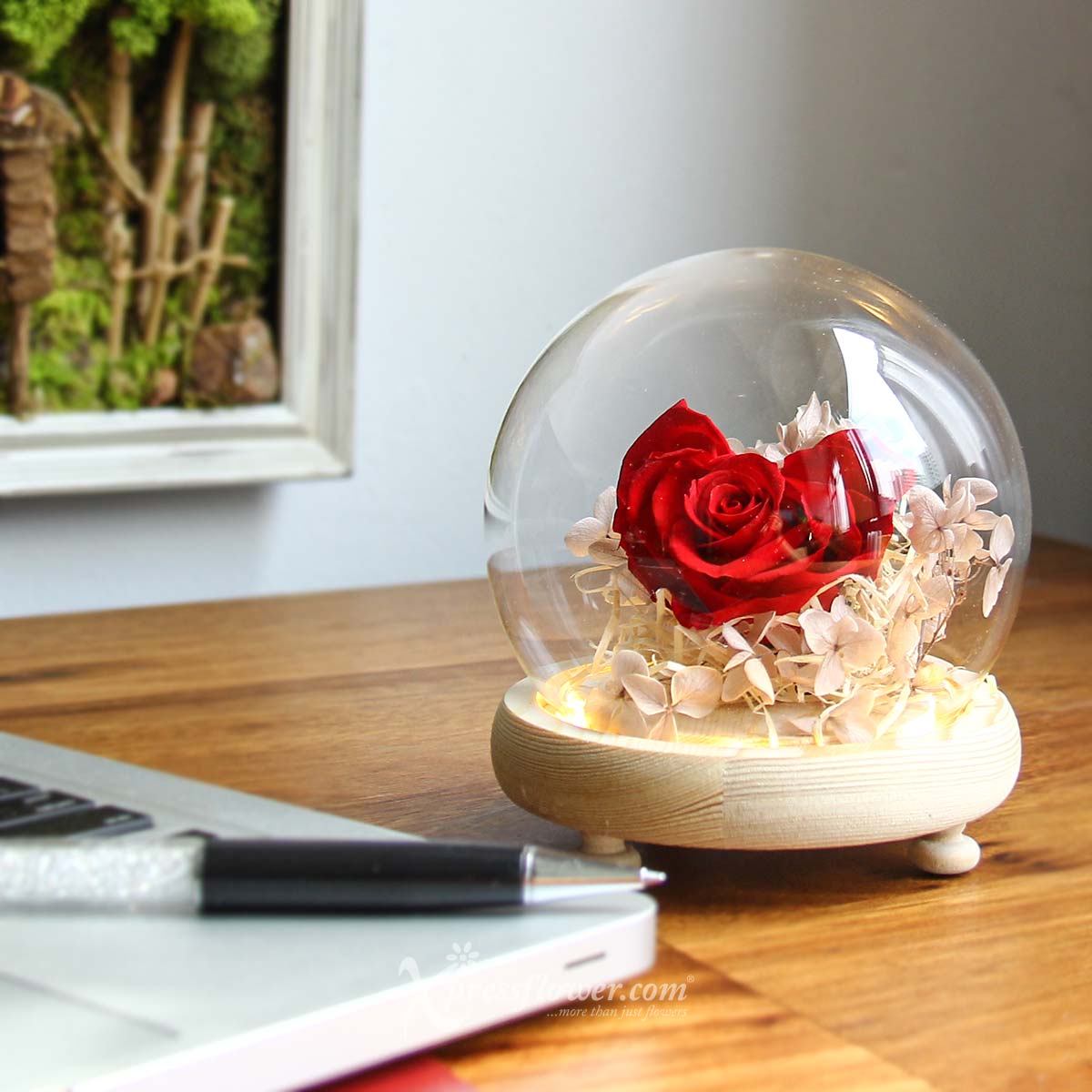 PR2136 Our Love Glows Preserved Rose Flower Dome 3a