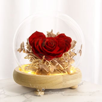 PR2136 Our Love Glows Preserved Rose Flower Dome