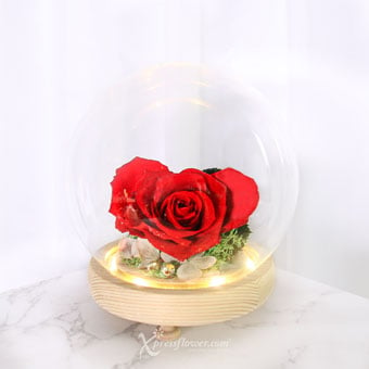 Hearty Passion (Preserved Rose with LED Lights)