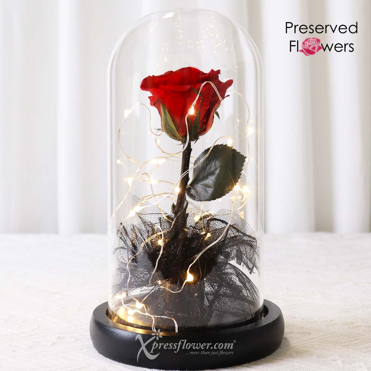 PR2302 Glamourous Rose (Preserved Flowers) 1b