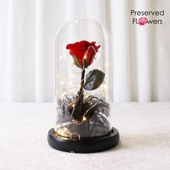 Glamourous Rose (Preserved Rose with LED Lights)