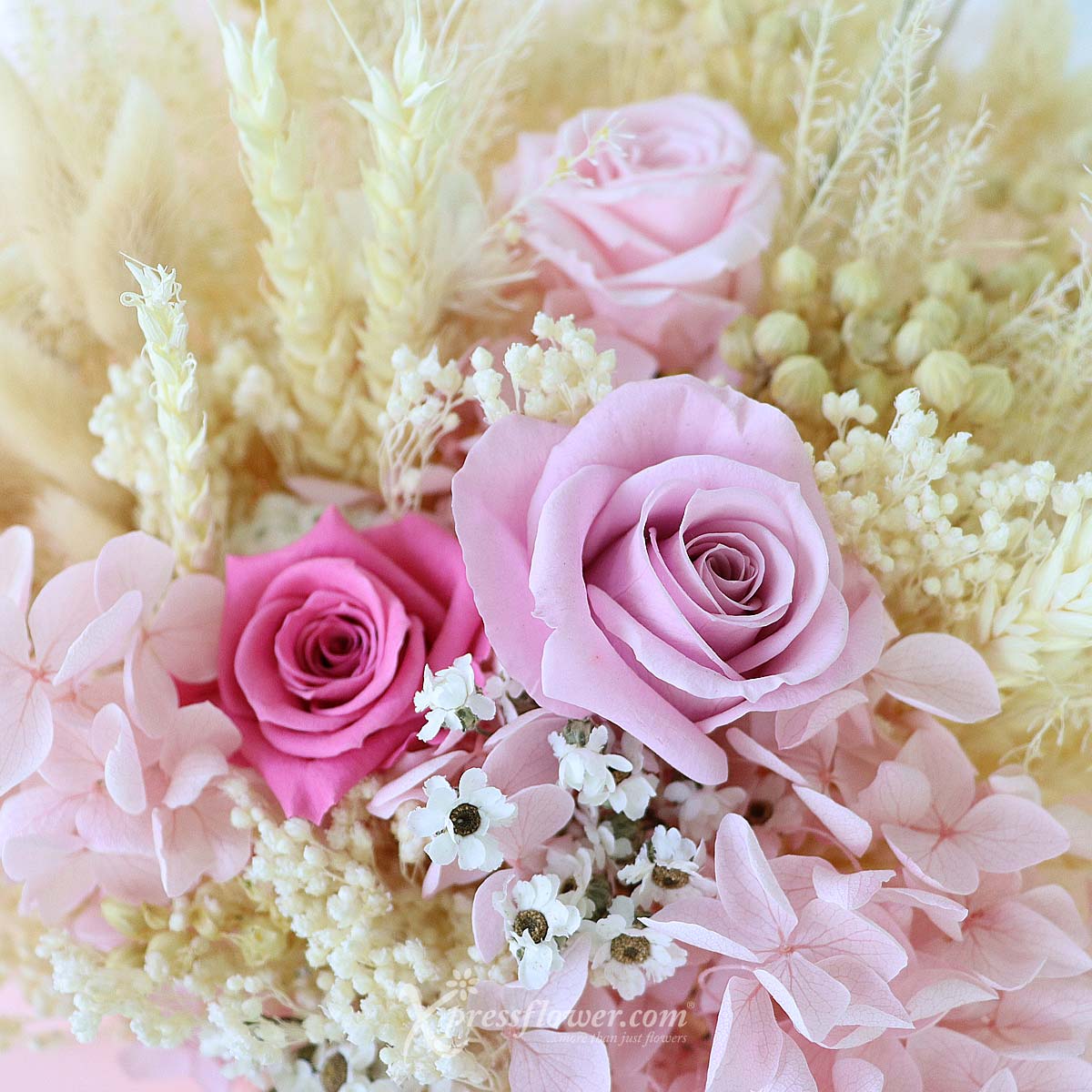 PR2306 Pink Brilliance (Preserved Flowers) 1c