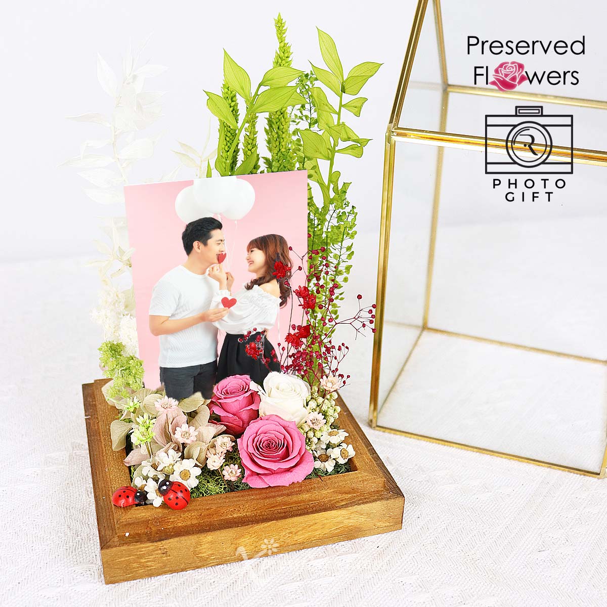 PR2314 Splendid Dreams 1b