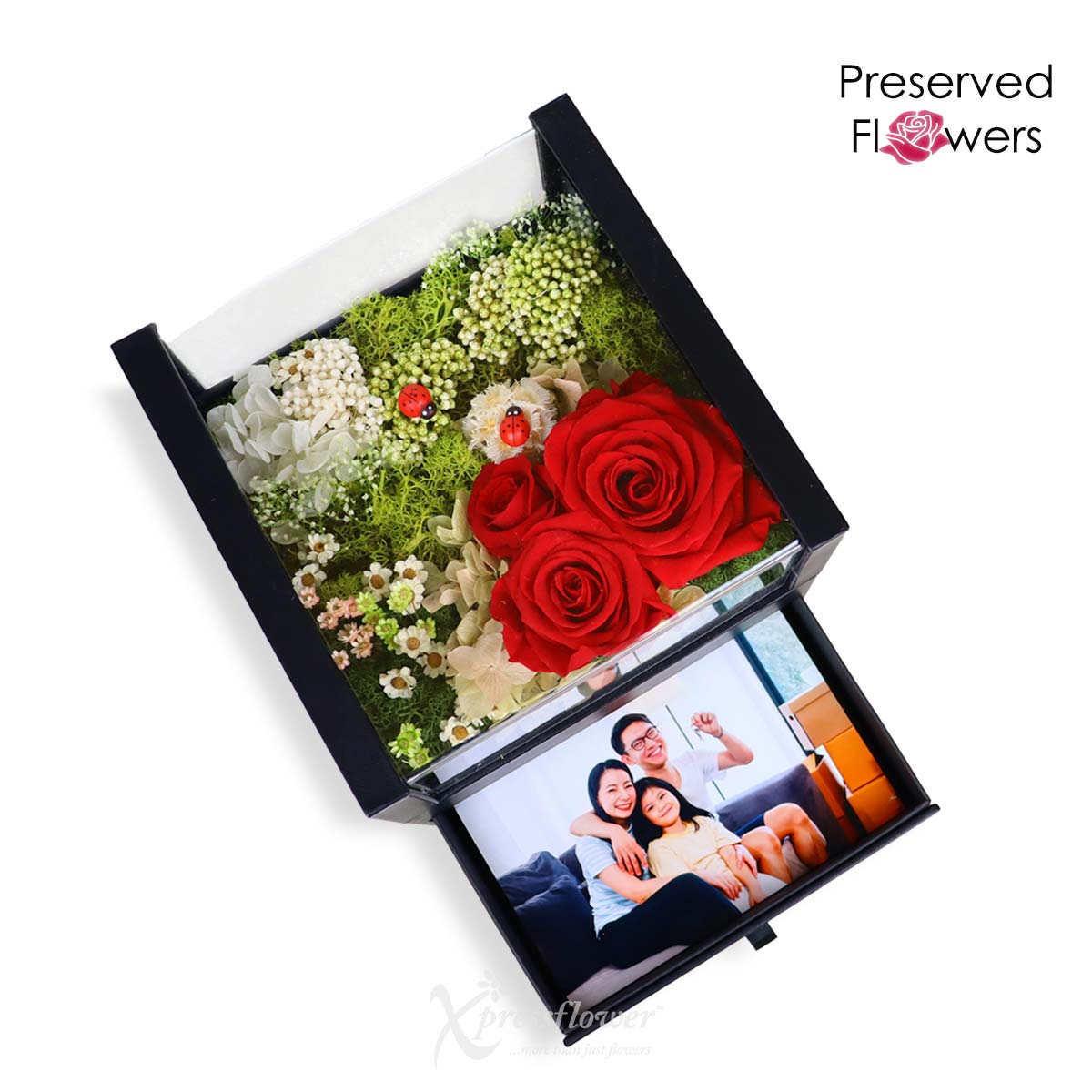 Queen’s Pursuit (Preserved Flowers with Personalised Photo)